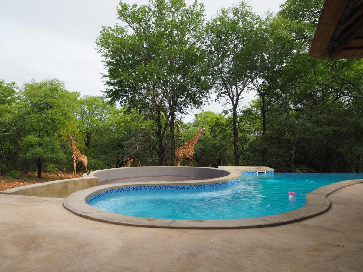 Pata Pata House Villa Marloth Park Dış mekan fotoğraf