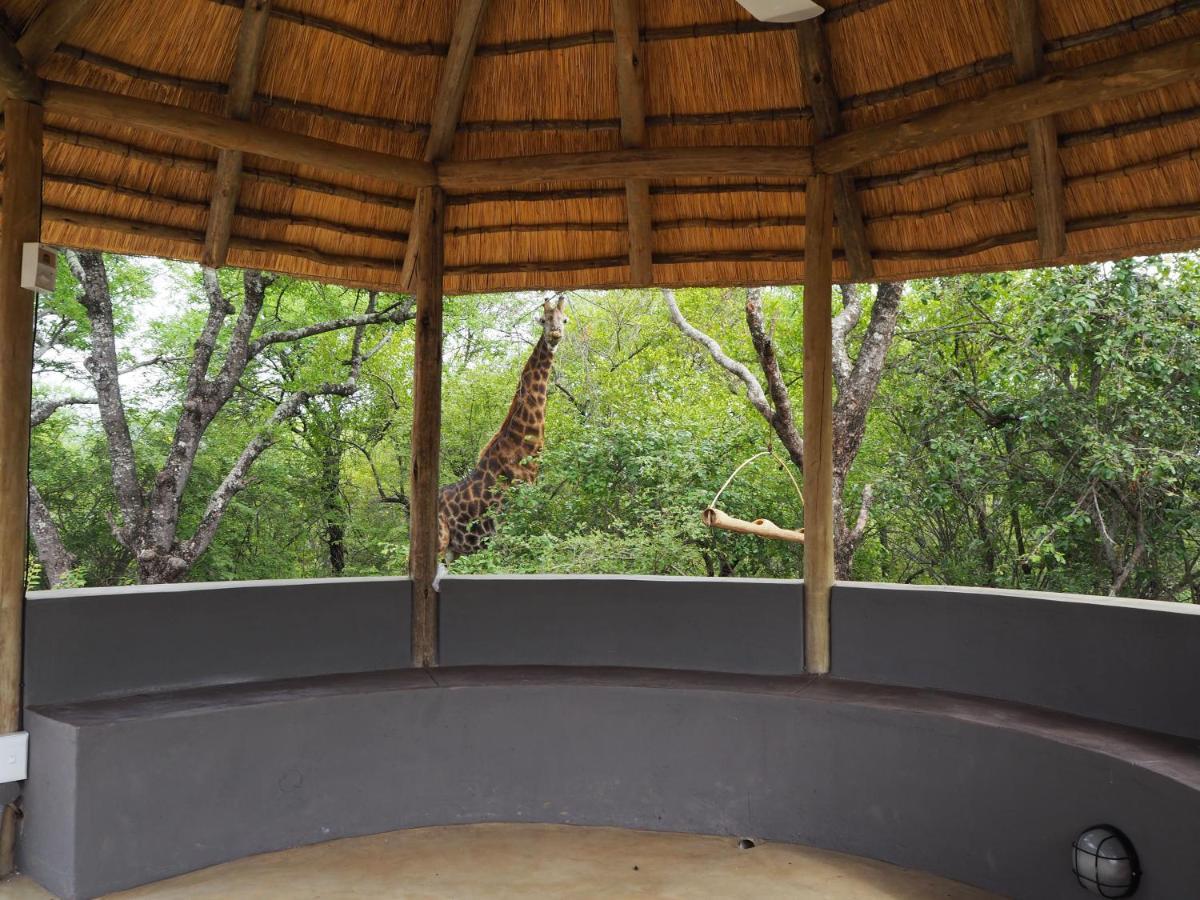 Pata Pata House Villa Marloth Park Dış mekan fotoğraf