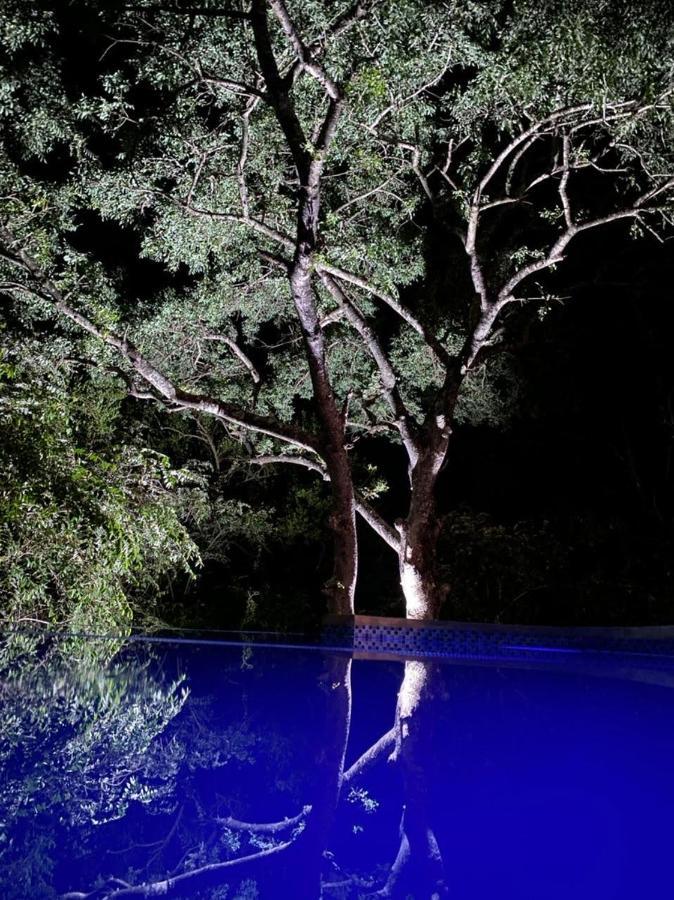 Pata Pata House Villa Marloth Park Dış mekan fotoğraf