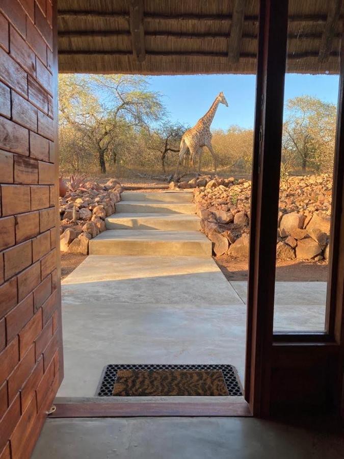 Pata Pata House Villa Marloth Park Dış mekan fotoğraf