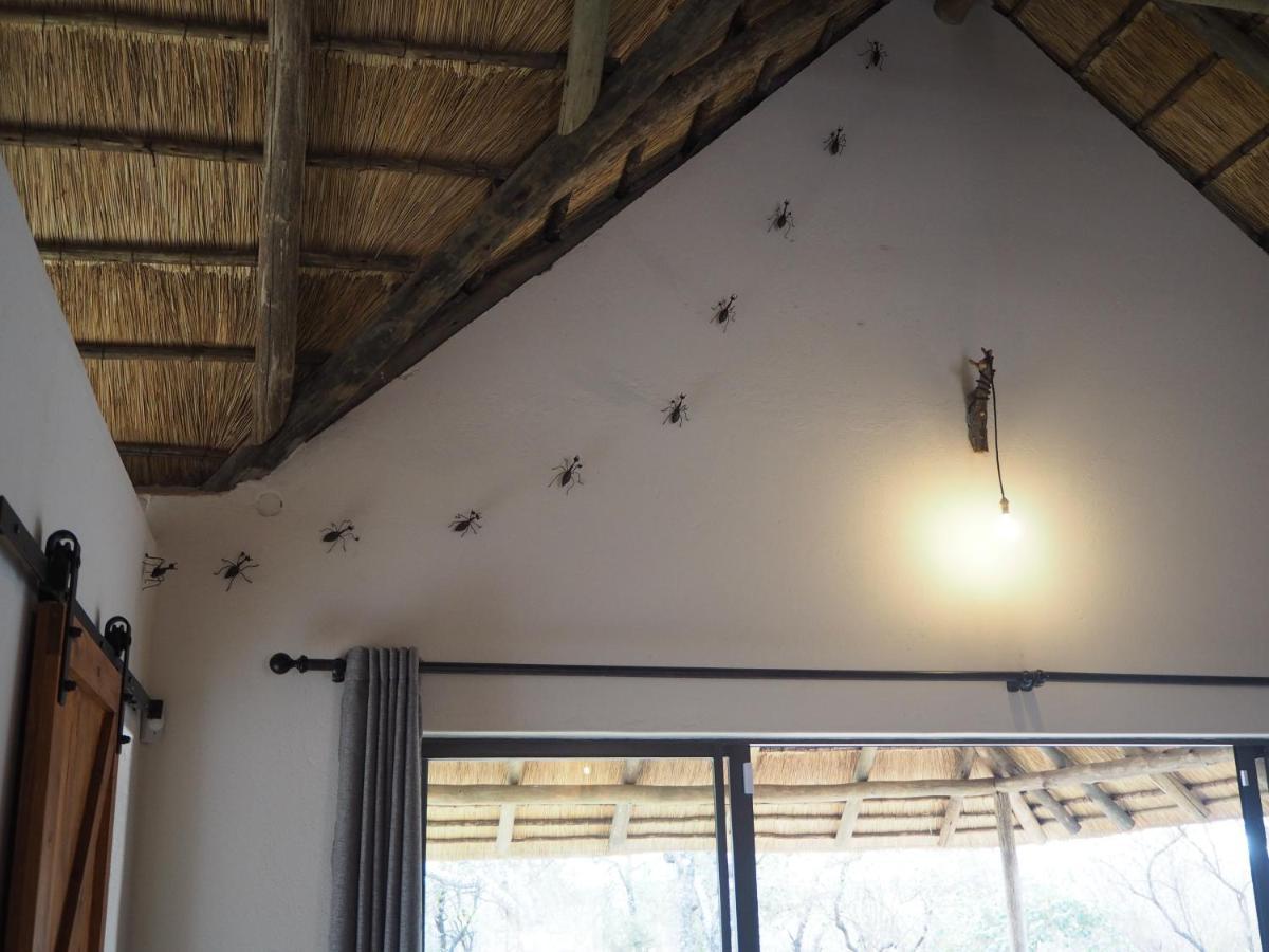 Pata Pata House Villa Marloth Park Dış mekan fotoğraf