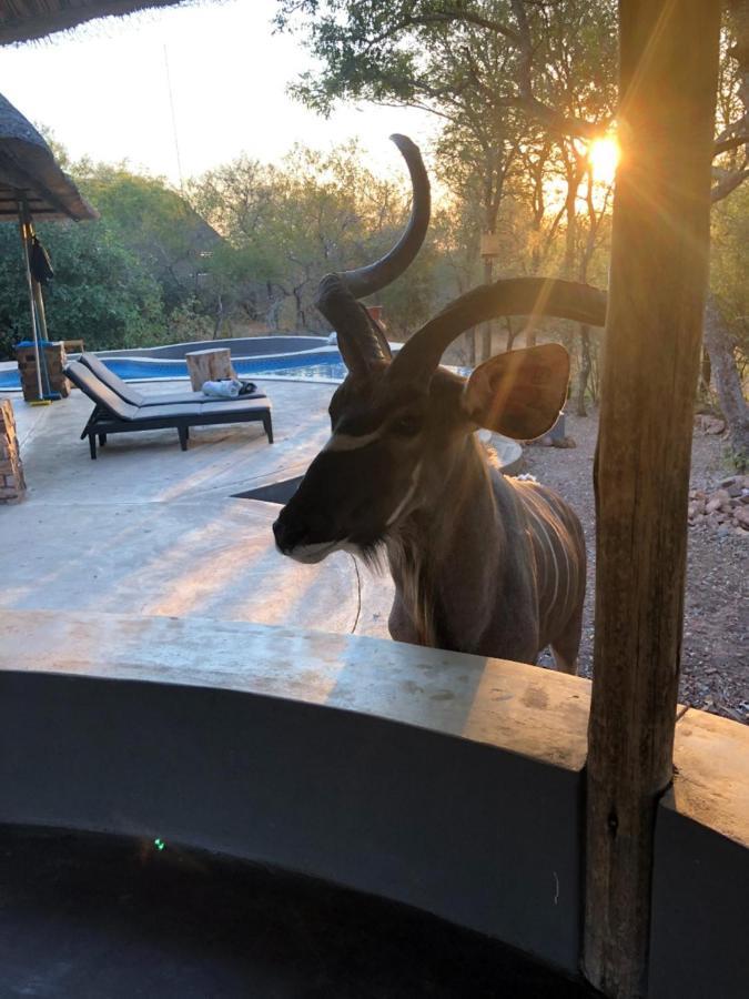 Pata Pata House Villa Marloth Park Dış mekan fotoğraf